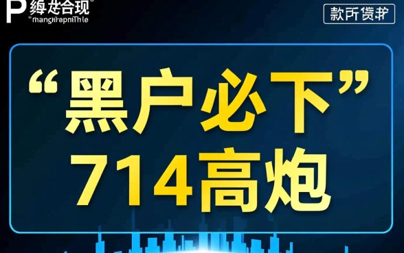 有什么网贷黑户能下款的夜间贷款平台，哪里能借？