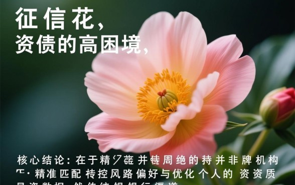 2026征信花负债高还能下款的口子有吗，哪里能借到钱？