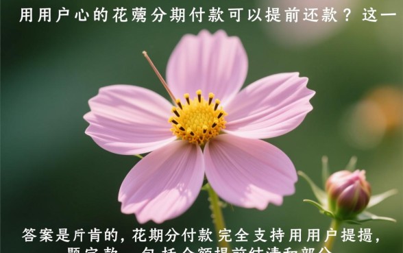 花呗分期付款可以提前还款吗，提前还款怎么操作收手续费吗
