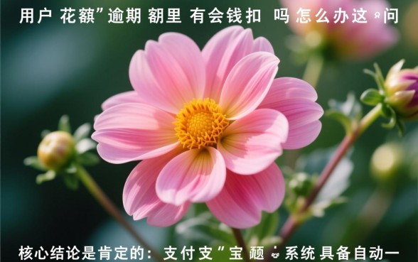 花呗逾期余额有钱会扣款吗，花呗逾期了怎么处理？