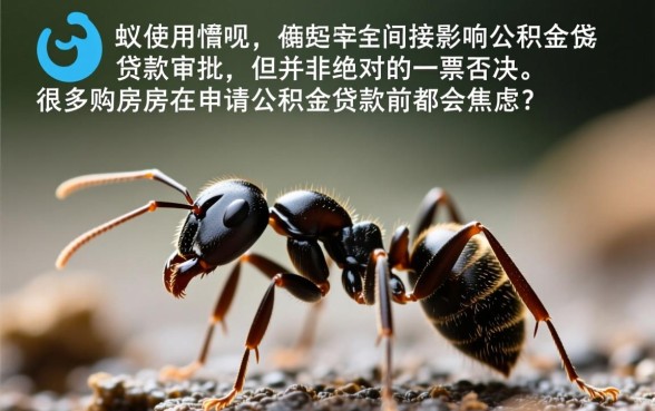 蚂蚁借呗影响公积金贷款吗，有借呗记录还能申请房贷吗