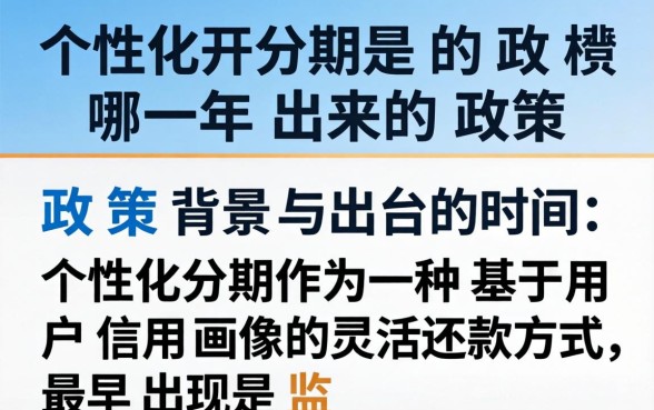 个性化分期是哪一年出来的政策