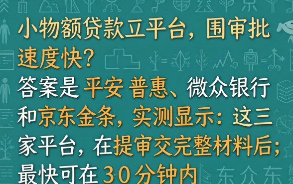 哪个小额贷款平台审批速度快，审批快的小额贷款平台有哪些