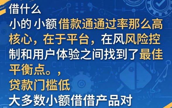 为什么小额借款通过率那么高，小额借款通过率高的原因