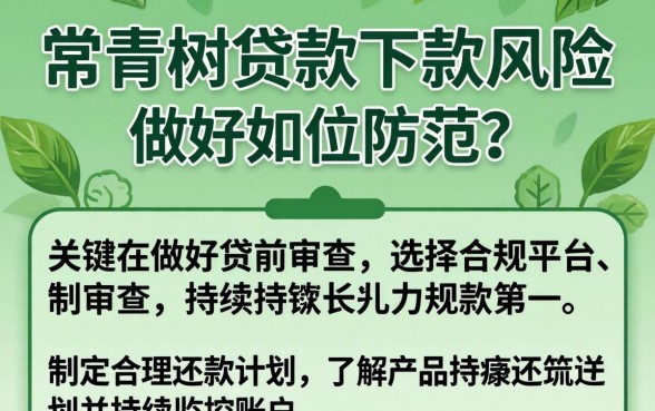 常青树贷款下款有风险吗，贷款下款要多久到账