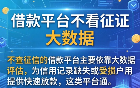 哪些借款平台不看征信 大数据