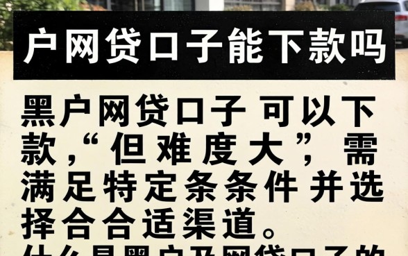 黑户网贷口子能下款吗